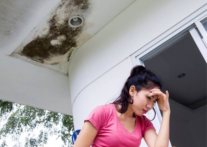 water damage restoration st louis