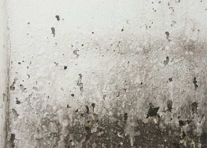 water damage restoration st louis