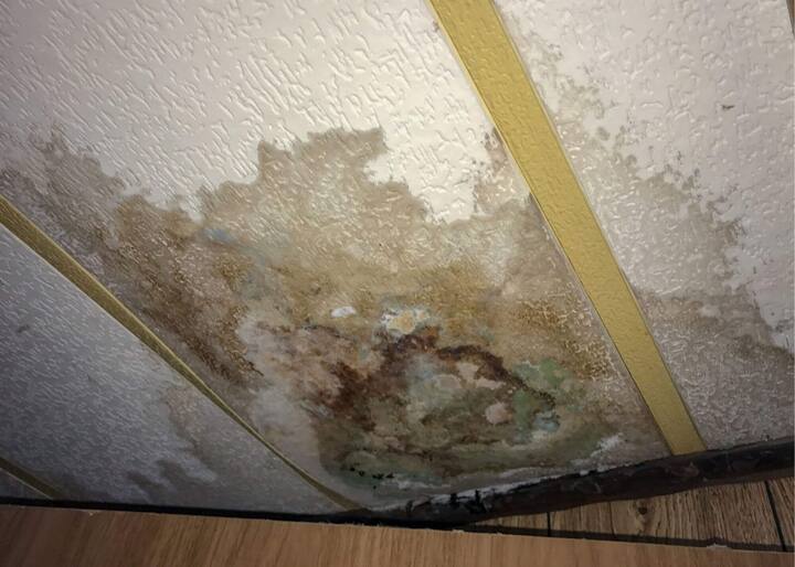 water damage restoration st louis