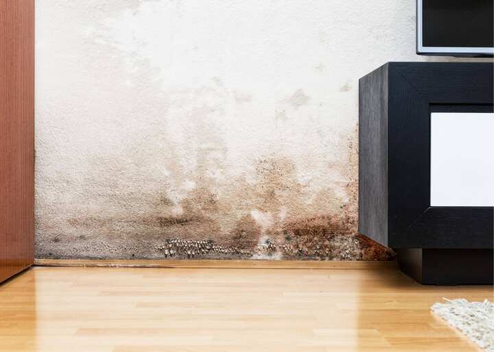 water damage restoration st louis