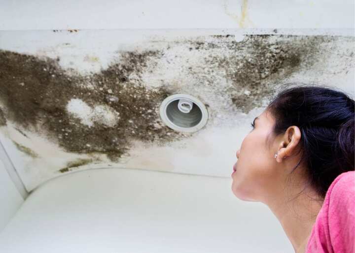water damage restoration st louis
